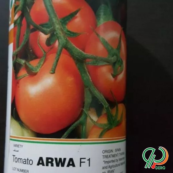 بذر گوجه فرنگی arwa f1