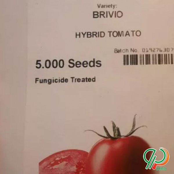 بذر گوجه 8320 و BRIVIO اصلی شرکتی